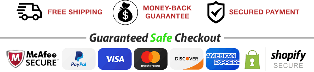 Fast Lean Pro secure payment